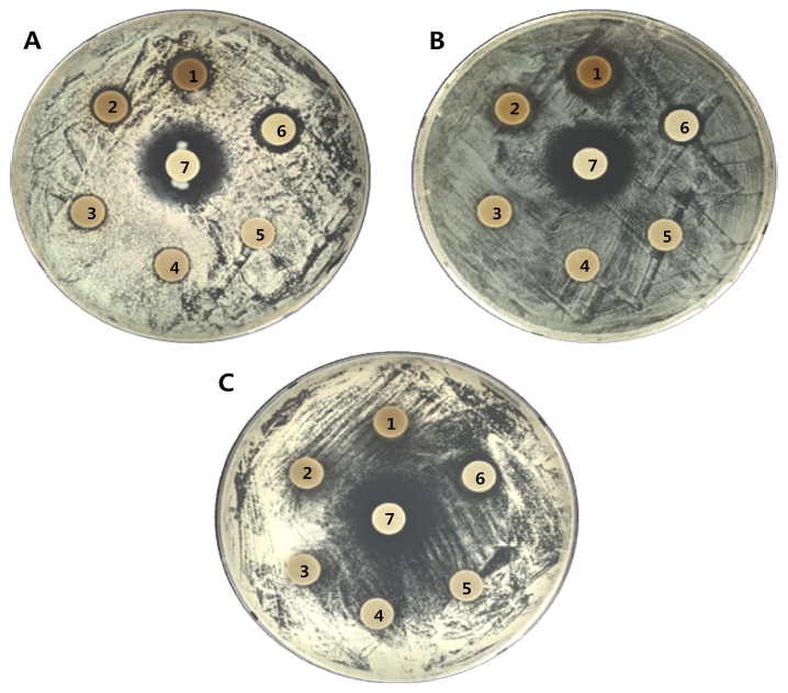 Fig. 3 Fig. 3