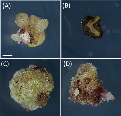 Fig. 2. Fig. 2.