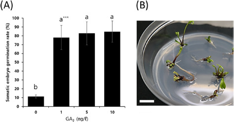 Fig. 4. Fig. 4.