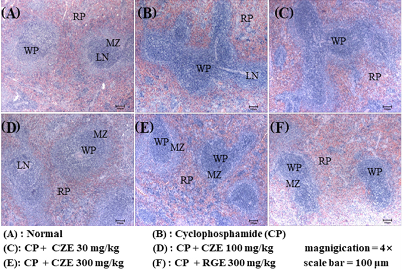 Fig. 6. Fig. 6.