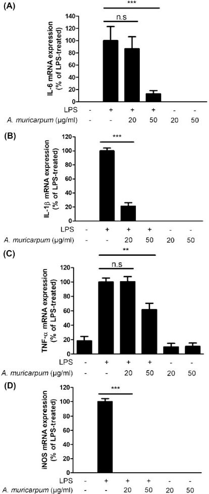 Fig. 3. Fig. 3.