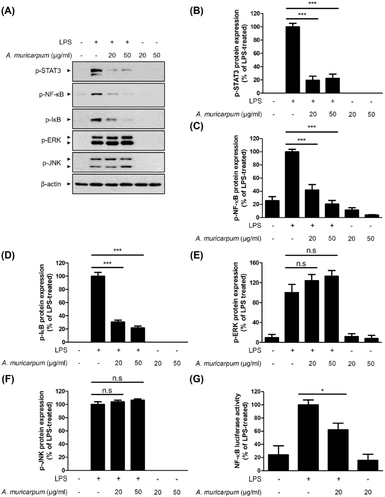 Fig. 4. Fig. 4.