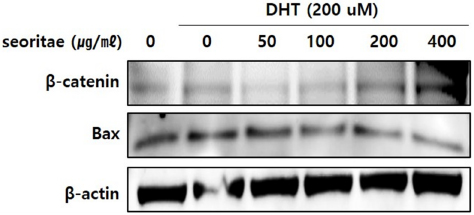 Fig. 3. Fig. 3.