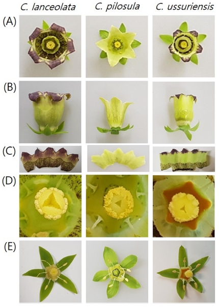 Fig. 3. Fig. 3.