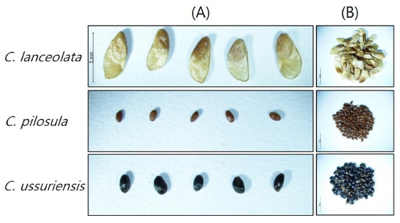 Fig. 5. Fig. 5.
