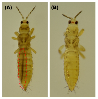 Fig. 1. Fig. 1.
