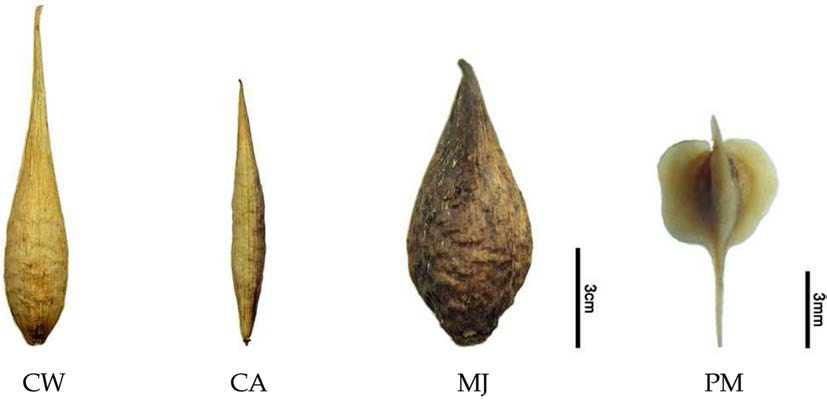 Fig. 7.