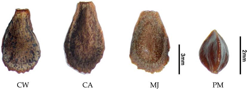 Fig. 8.