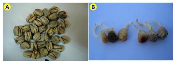 Fig. 2. Fig. 2.
