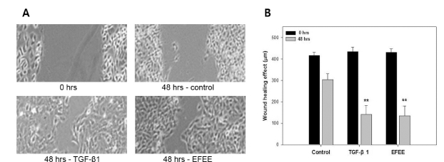 Fig. 2. Fig. 2.