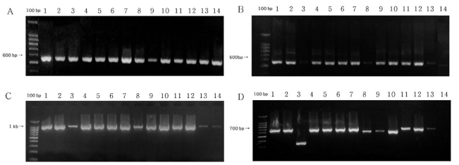 Fig. 2. Fig. 2.