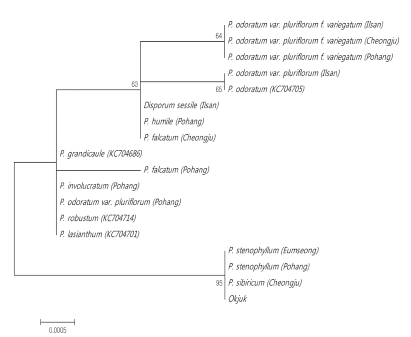 Fig. 5.