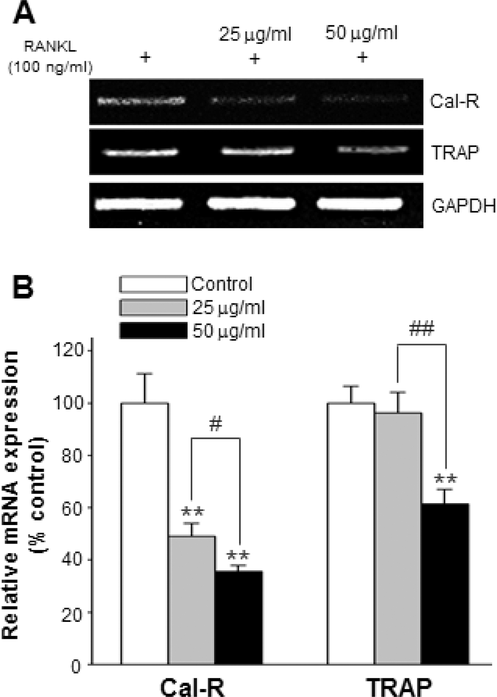 Fig. 4. Fig. 4.