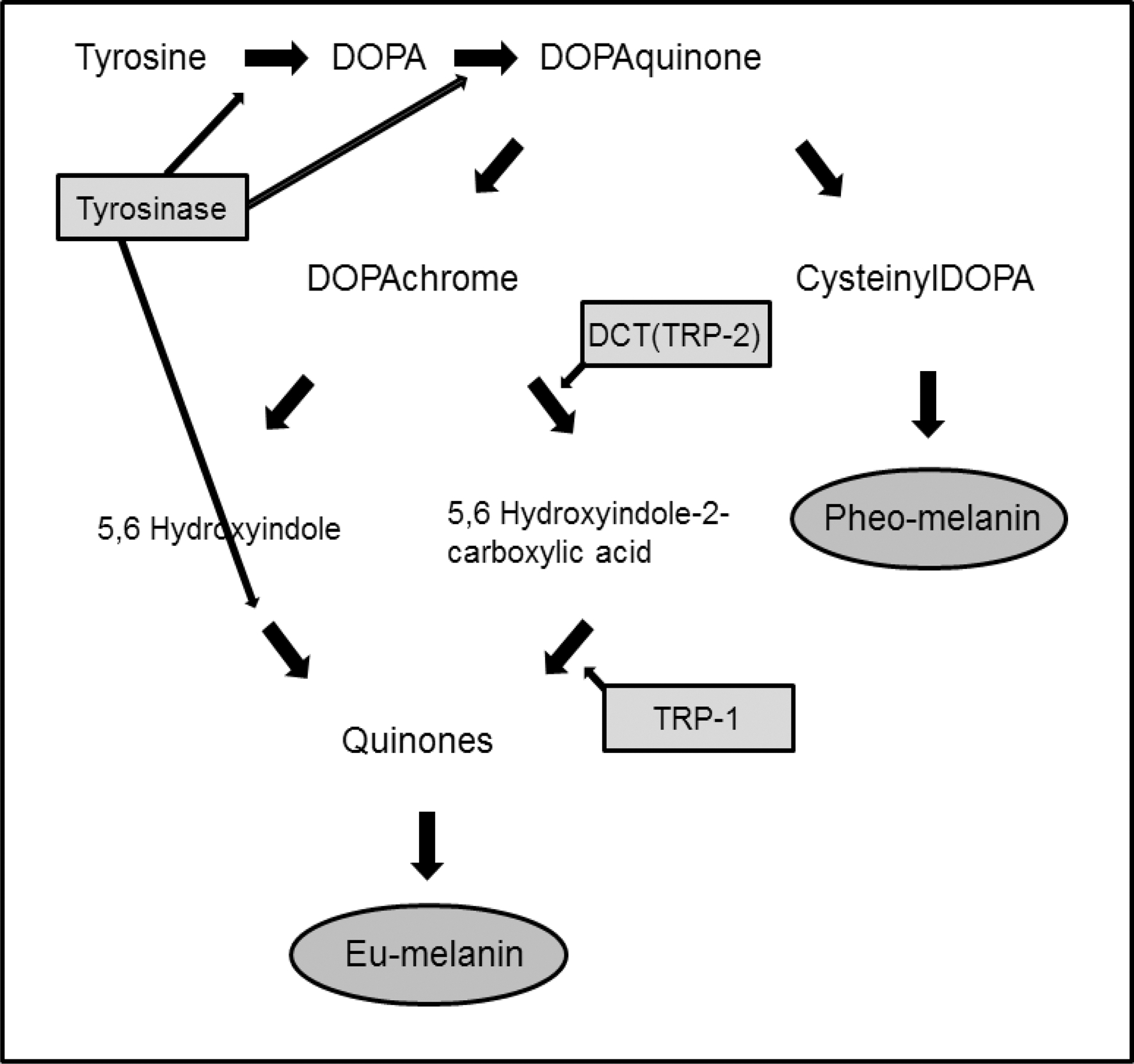 Fig. 1. Fig. 1.