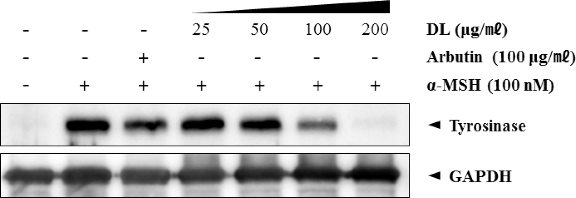 Fig. 5. Fig. 5.