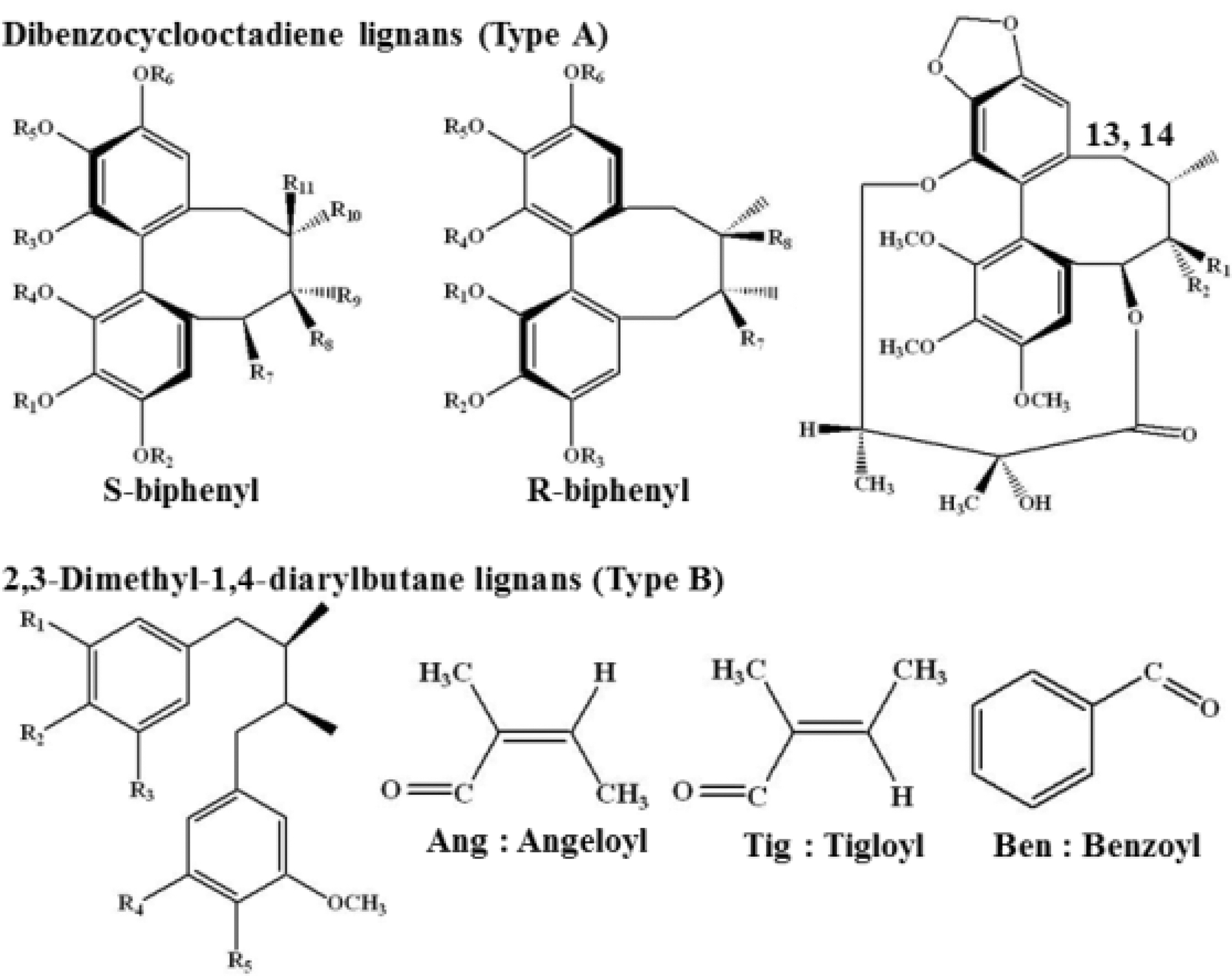 Fig. 2. Fig. 2.