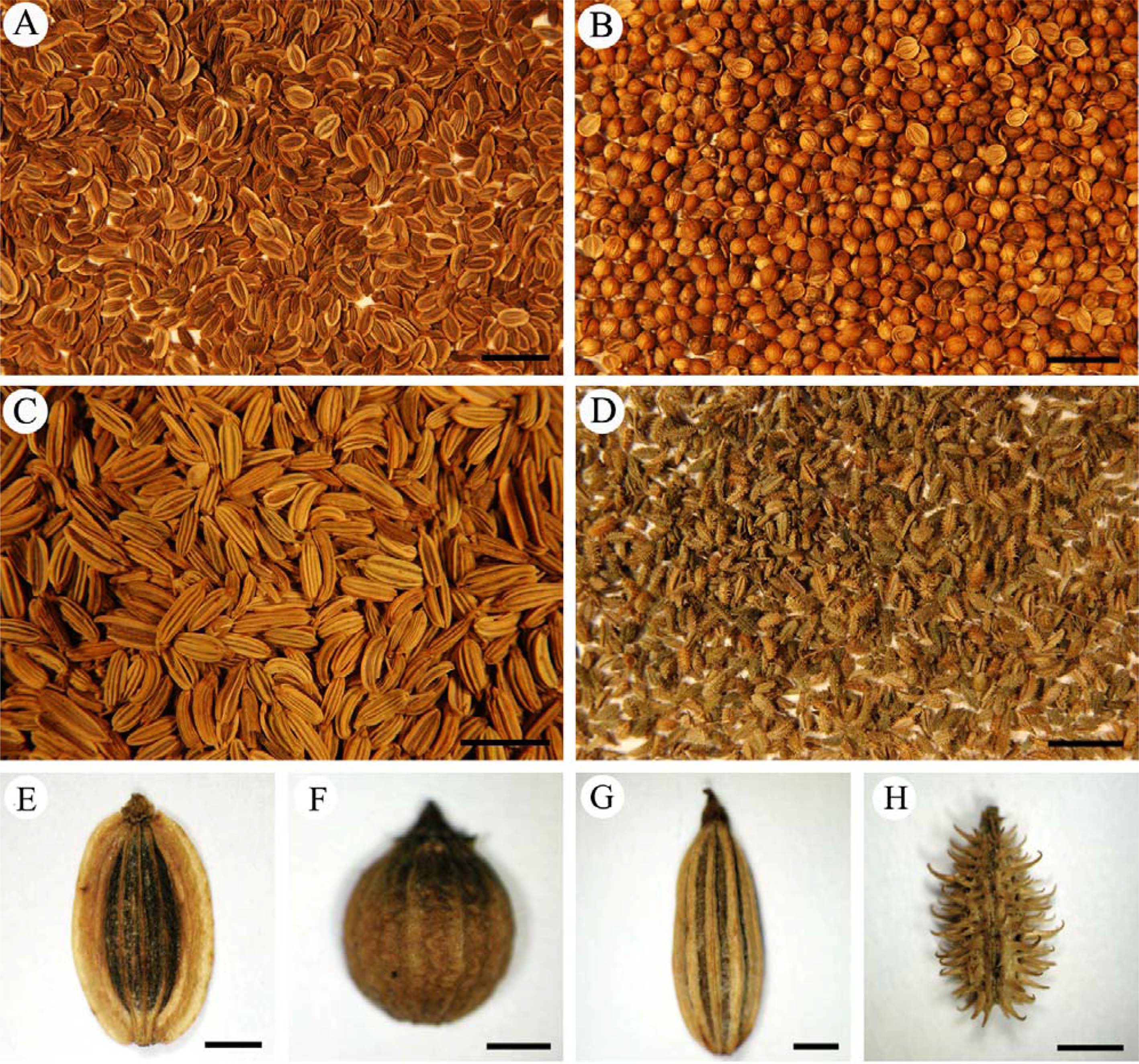 Fig. 1. Fig. 1.