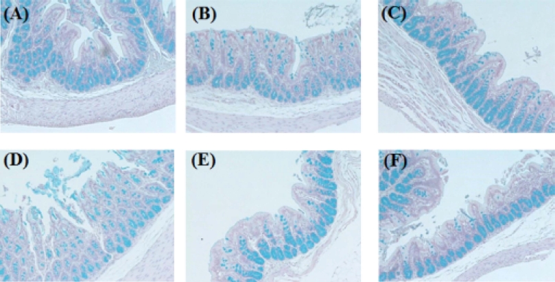 Fig. 5. Fig. 5.