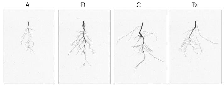 Fig. 2. Fig. 2.
