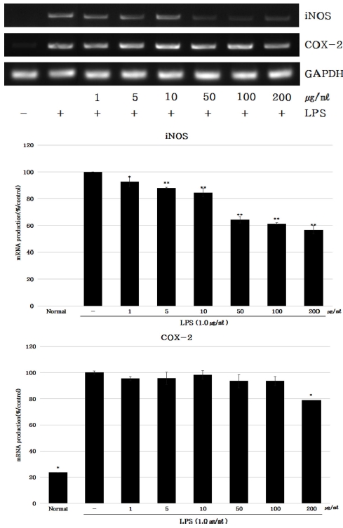 Fig. 3. Fig. 3.
