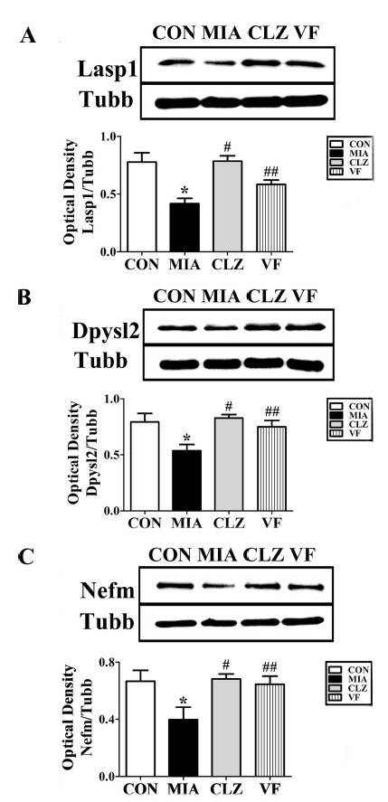 Fig. 3 Fig. 3