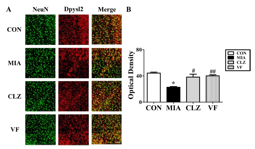 Fig. 4 Fig. 4