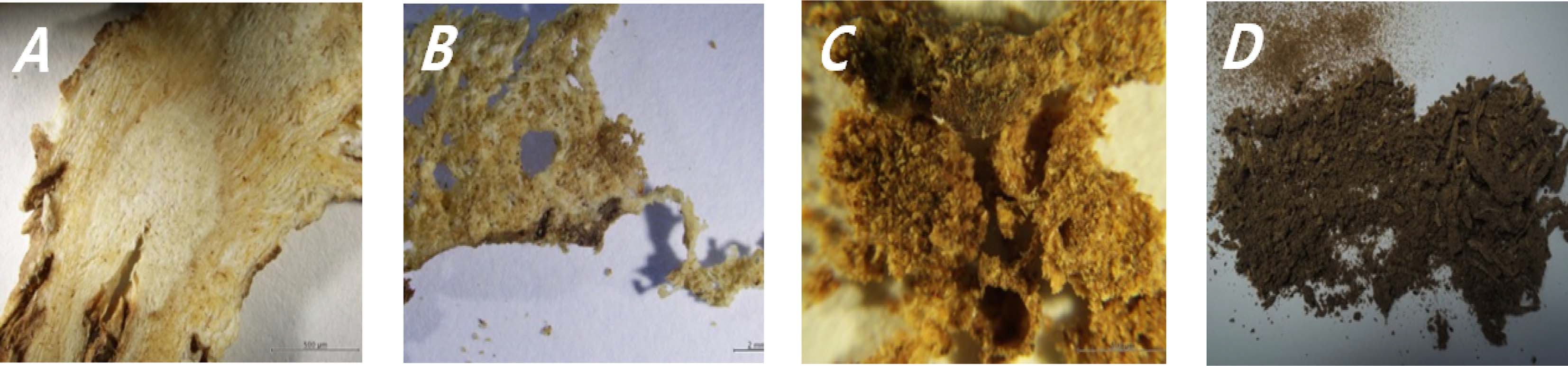 Fig. 2 Fig. 2