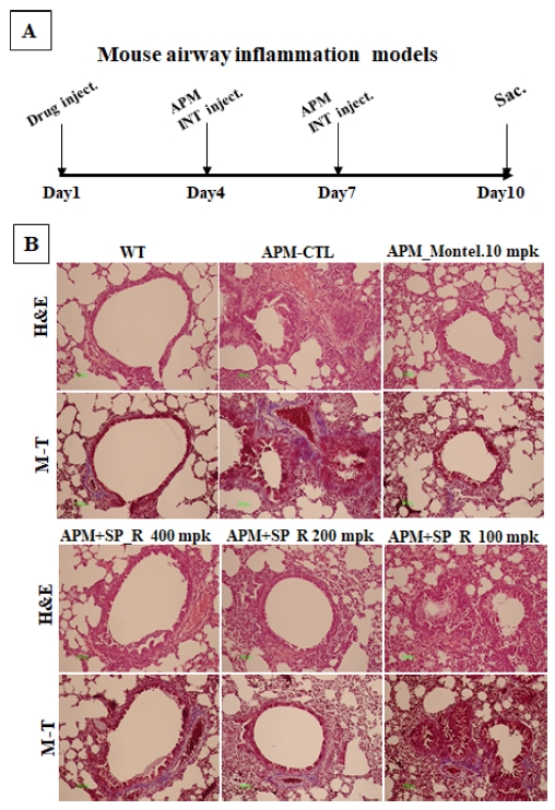 Fig. 4 Fig. 4