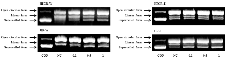 Fig. 3 Fig. 3