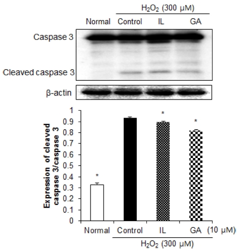 Fig. 6 Fig. 6