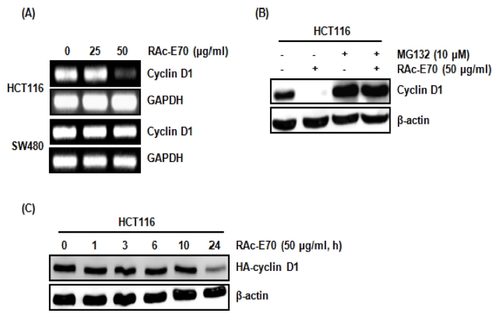 Fig. 2 Fig. 2