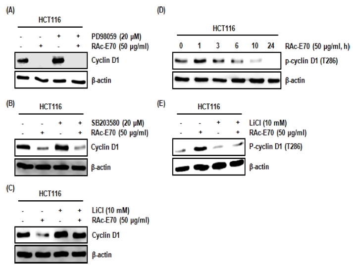 Fig. 3 Fig. 3