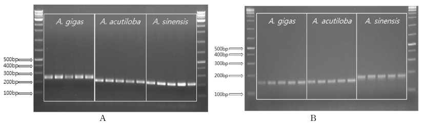 Fig. 1 Fig. 1