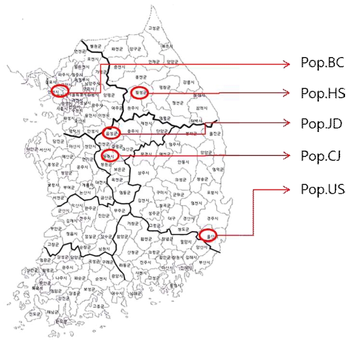 Fig. 1 Fig. 1