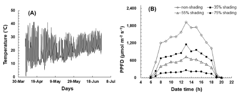 Fig. 1. Fig. 1.
