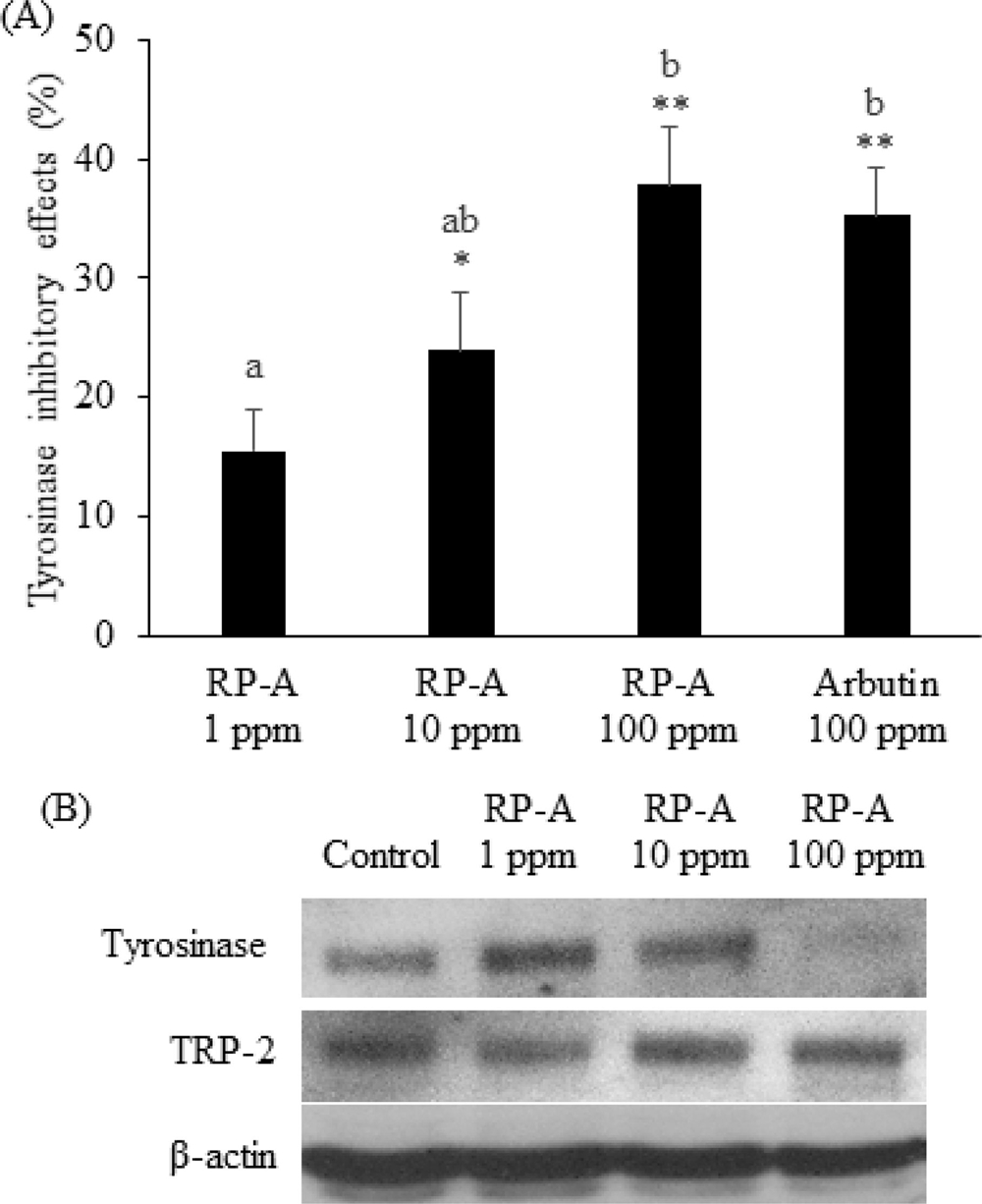 Fig. 4. Fig. 4.