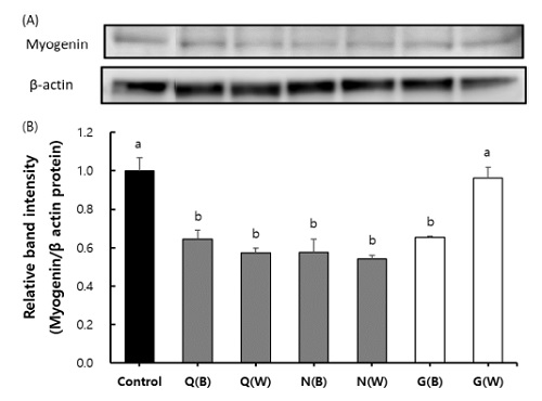 Fig. 2. Fig. 2.