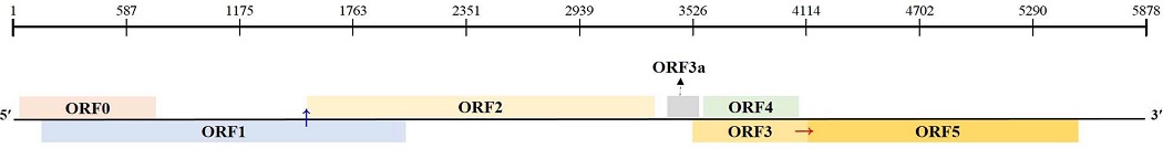 Fig. 3. Fig. 3.