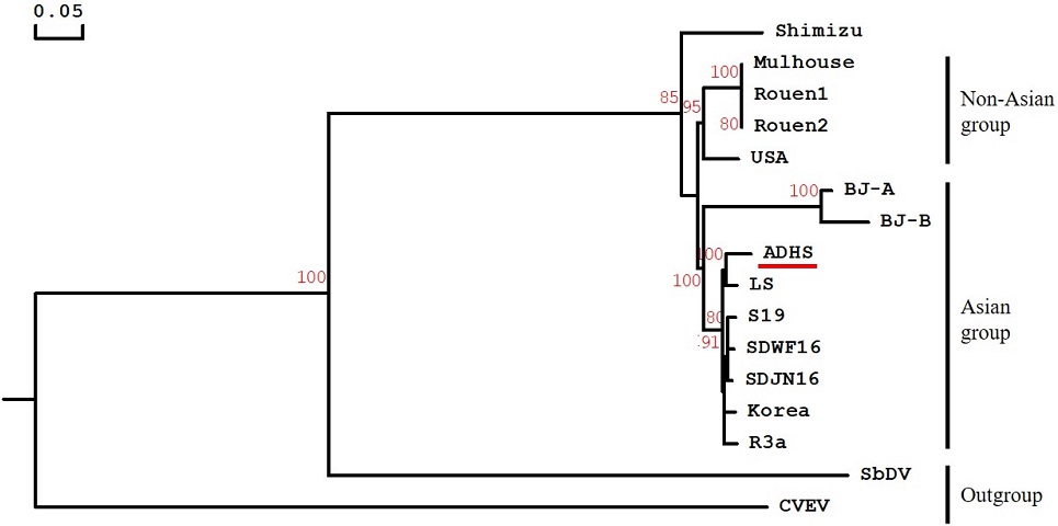 Fig. 4. Fig. 4.
