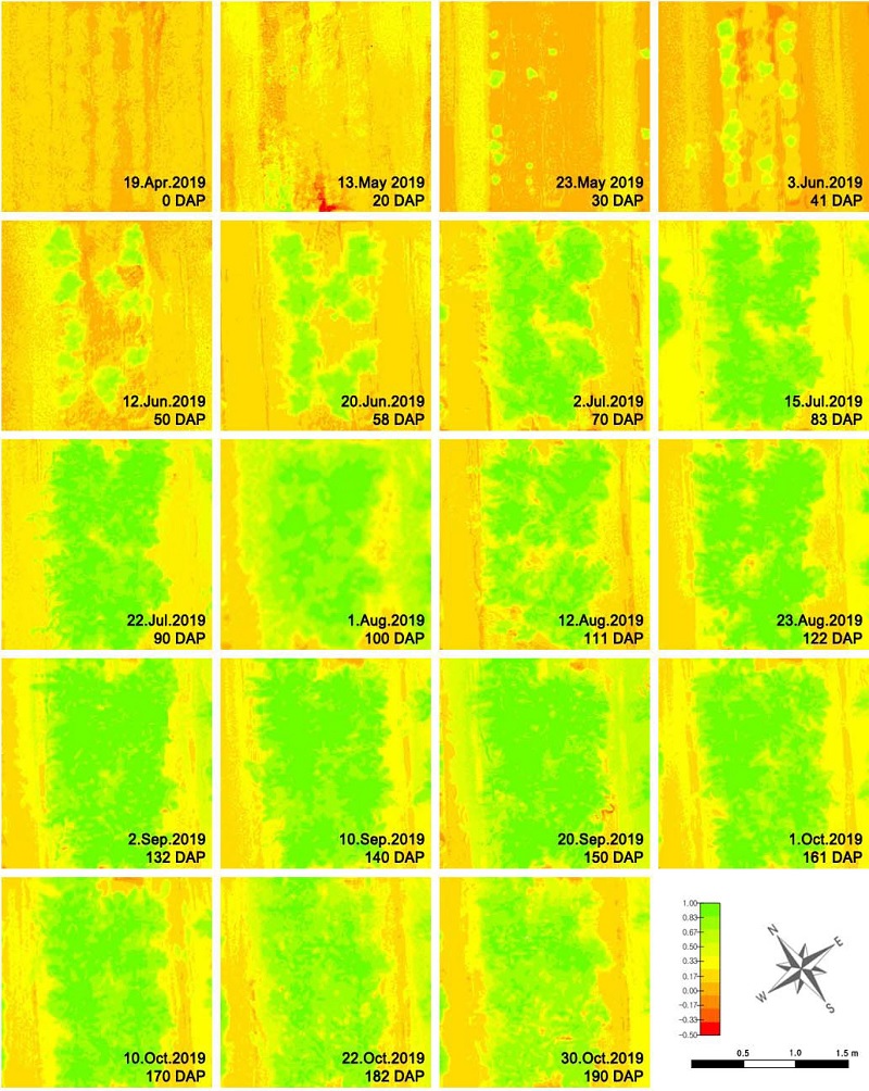 Fig. 2. Fig. 2.