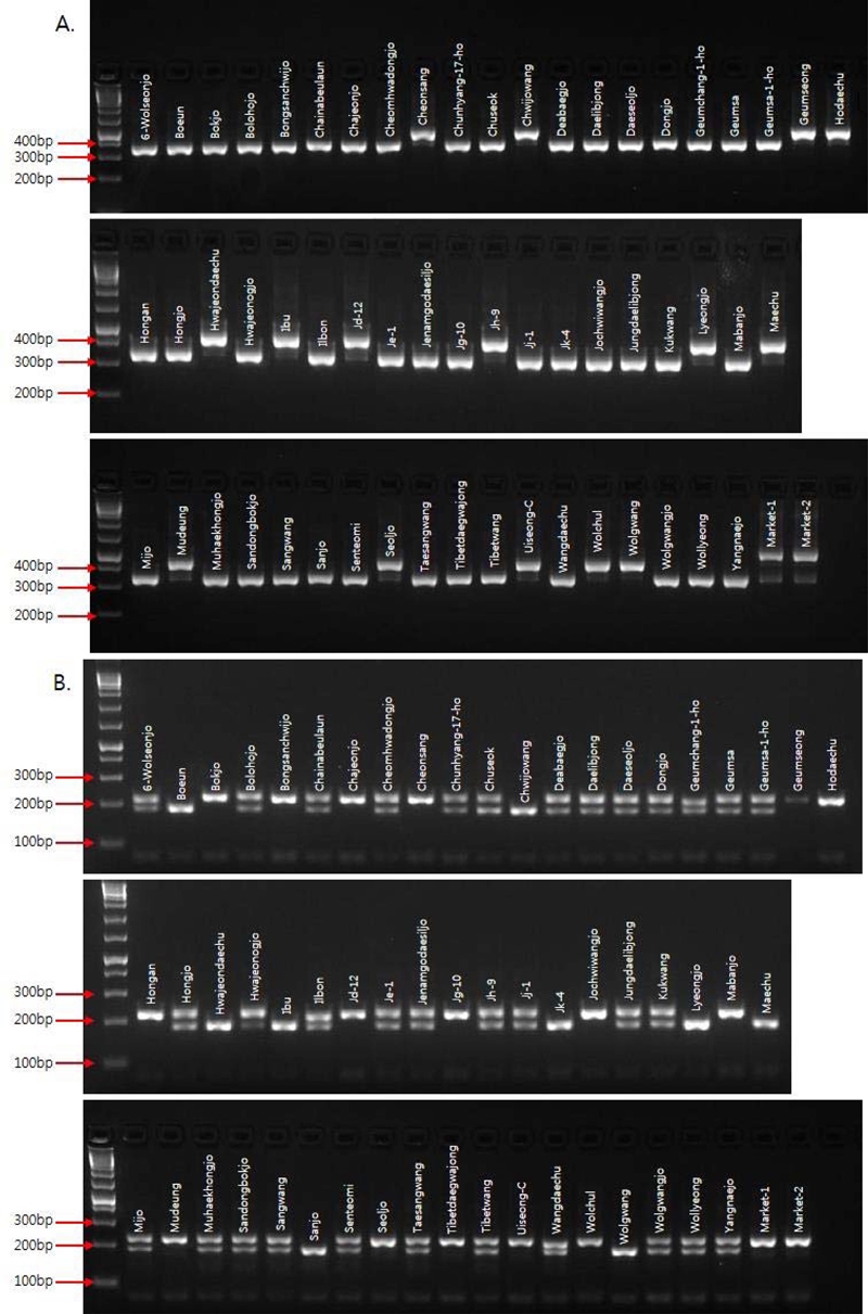 Fig. 2. Fig. 2.