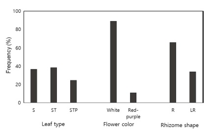 Fig. 5. Fig. 5.