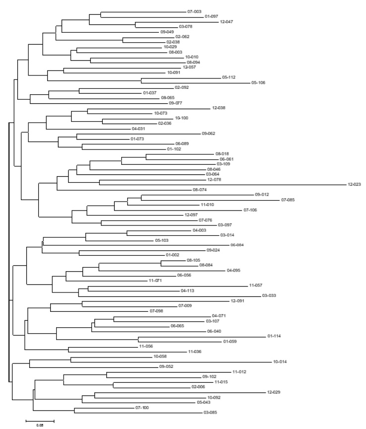 Fig. 1. Fig. 1.