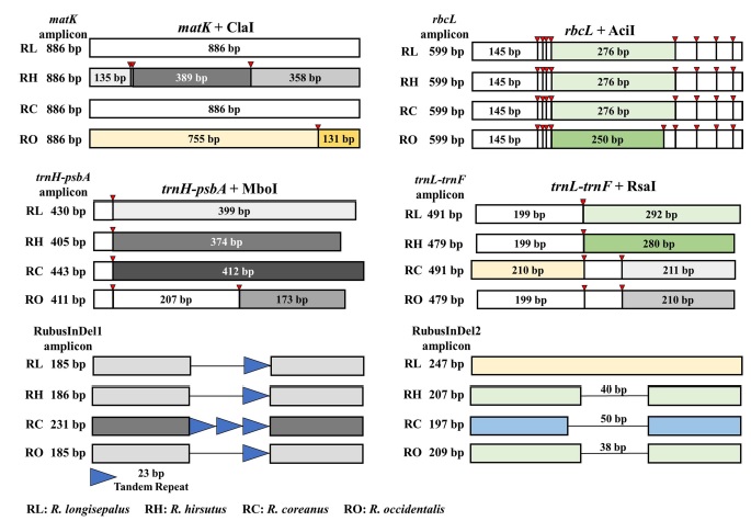 Fig. 2. Fig. 2.