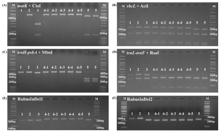 Fig. 3. Fig. 3.