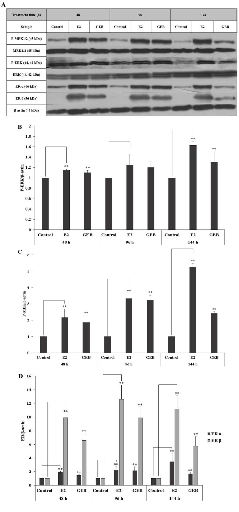 Fig. 3. Fig. 3.