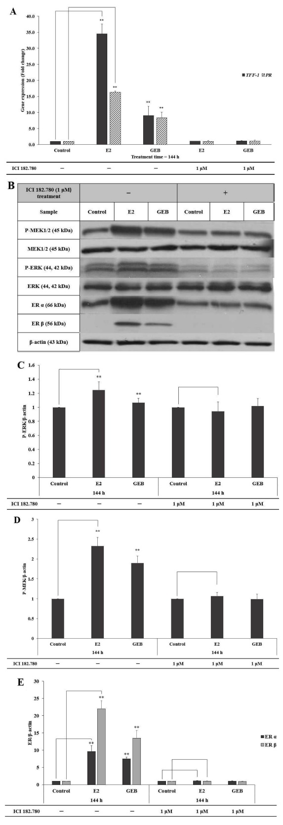 Fig. 4. Fig. 4.