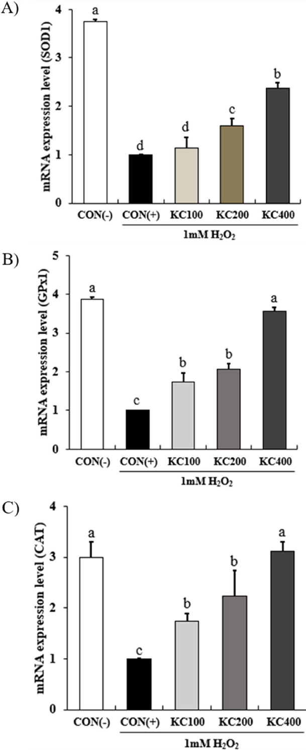 Fig. 4. Fig. 4.