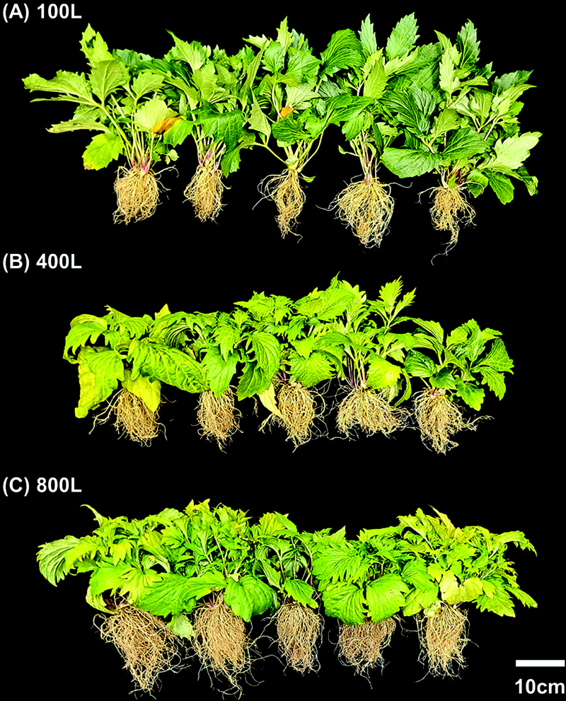Fig. 2. Fig. 2.