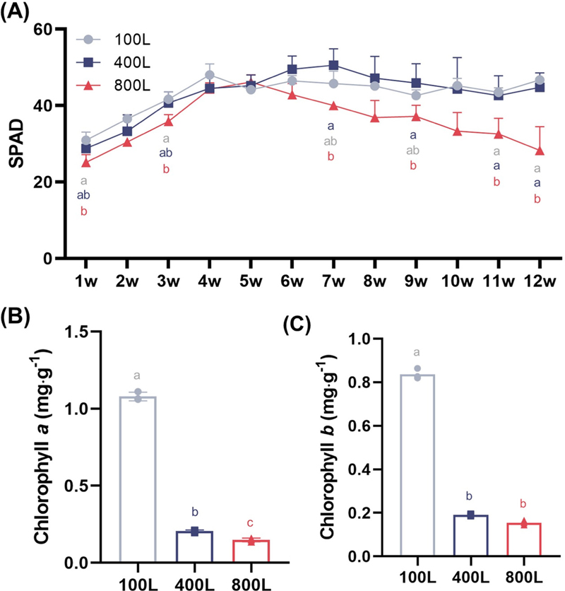 Fig. 4. Fig. 4.